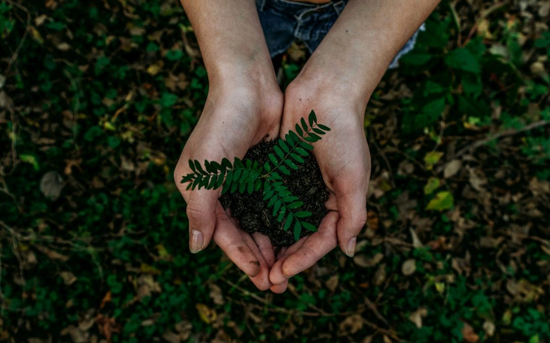 The Healing Power of Nature: WWOOF as a Form of Ecotherapy
