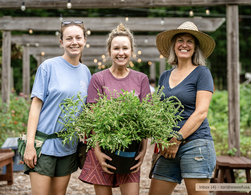 WWOOF Contest Winners Announced