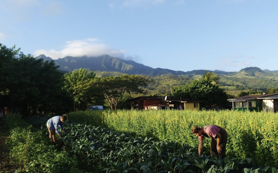 Sierra Club: Ready for Less Screen Time & More Nature Time?