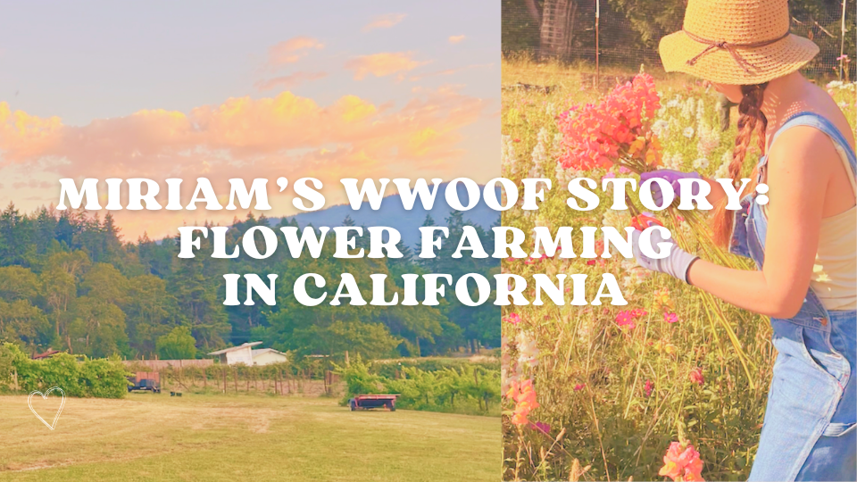 Cultivating Connection: Miriam’s WWOOF Story
